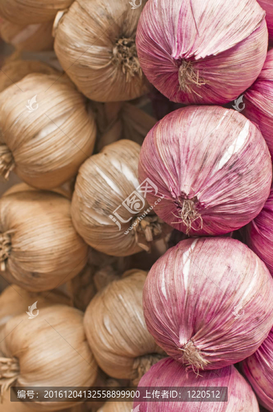 洋蔥