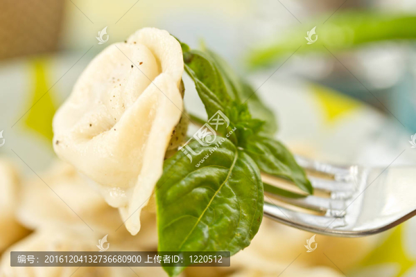 俄羅斯餃子
