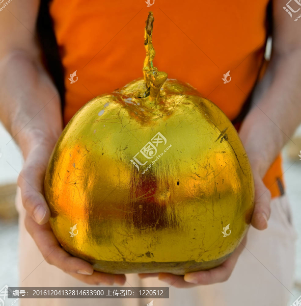 手上的堅果