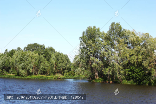 河流與樹(shù)木夏季景觀