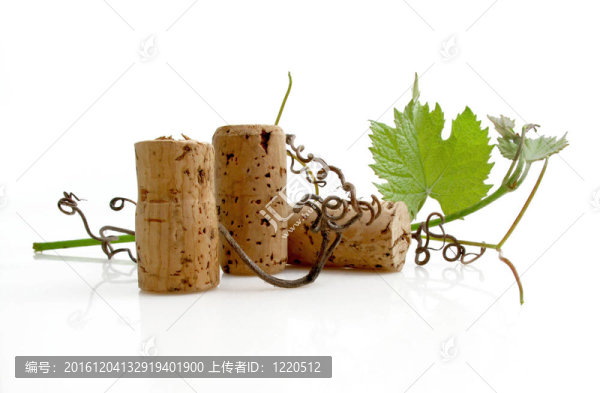 葡萄酒的品嘗
