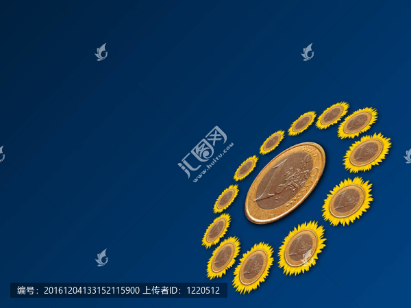 向日葵的硬幣