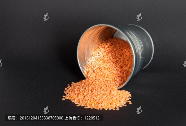 紅扁豆