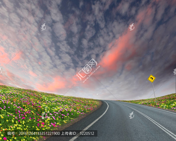 路與地平線