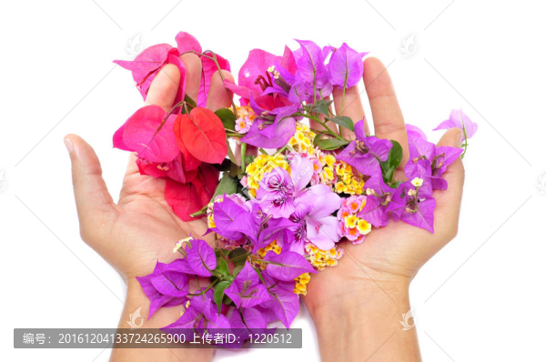 充滿鮮花的手