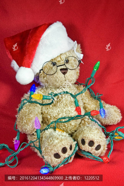 圣誕節(jié)Teddy,Bear