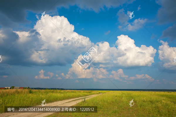 夏天的風景