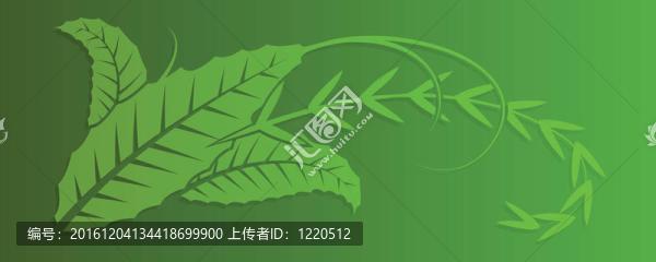 漂亮的葉子形狀