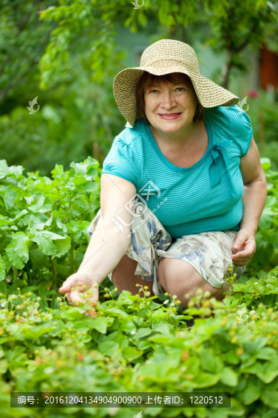 草莓成熟女人