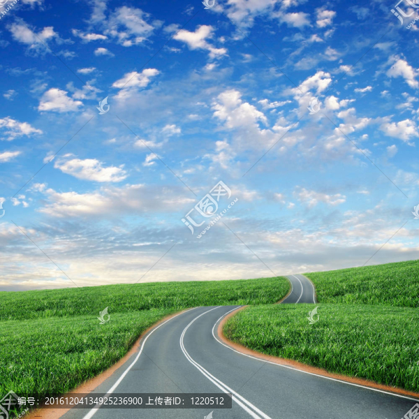 路與地平線
