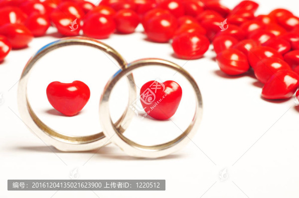 種子環(huán)內(nèi)種子