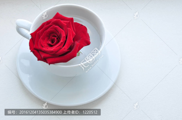 帽子里的玫瑰