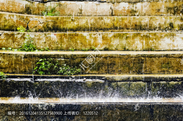 雨