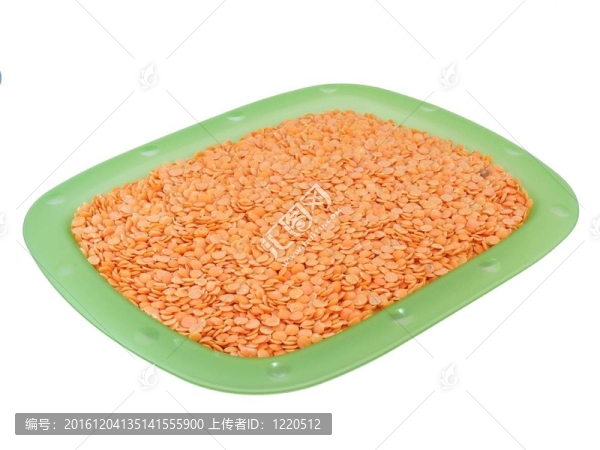 在一片扁豆
