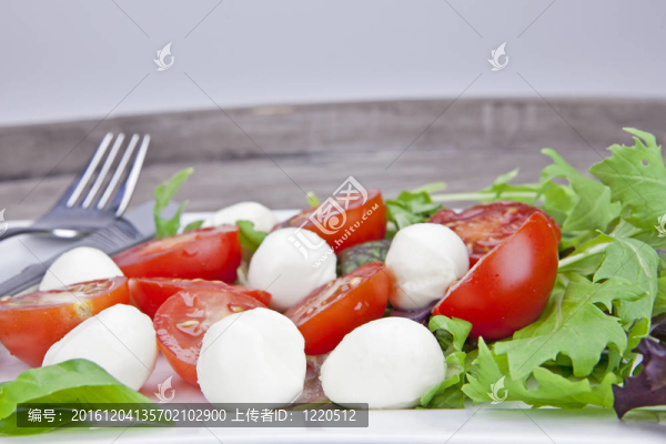 insalata卡