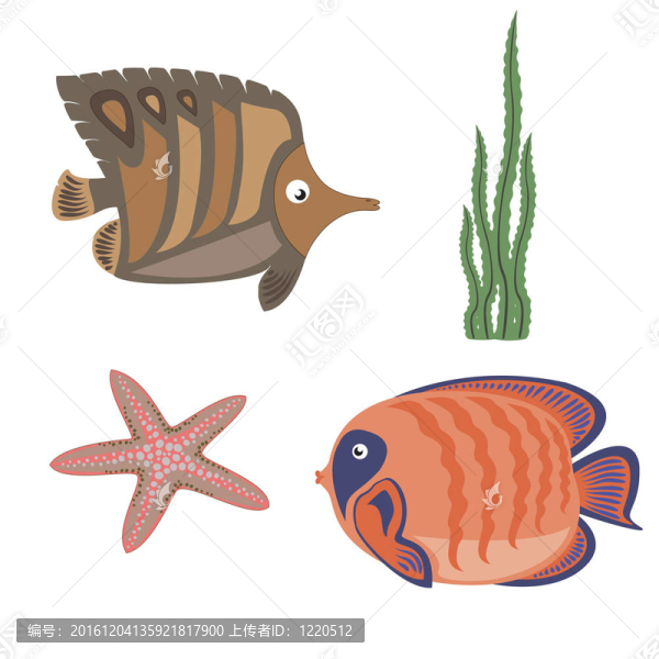 海洋生命