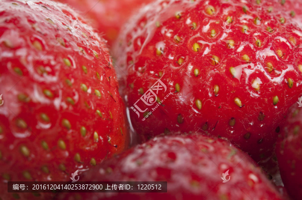 Strawberry的背景