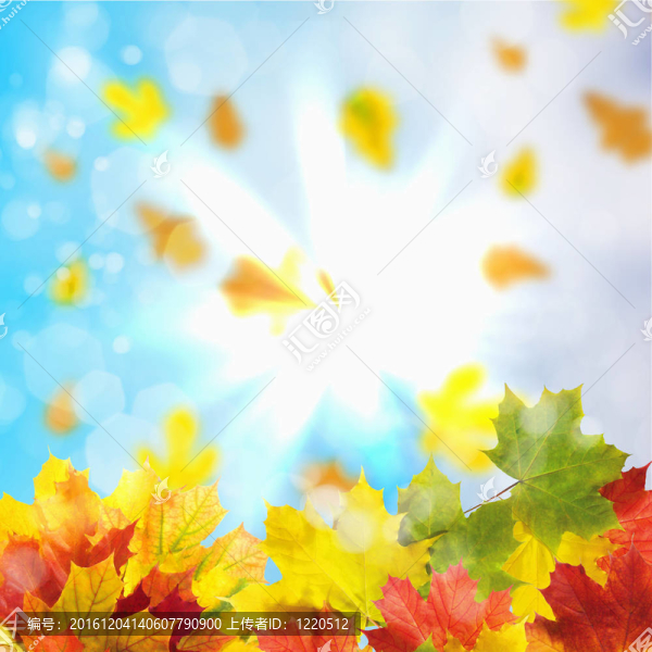 紅黃樹葉
