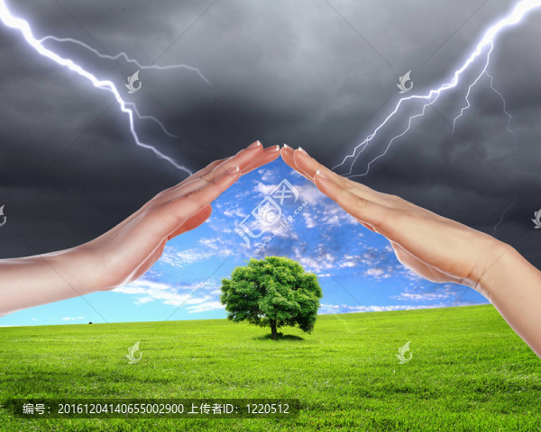 人手保護(hù)樹