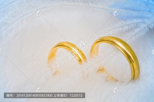 羽毛上的金色結(jié)婚戒指