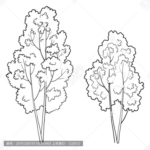 林木；集合；落葉；輪廓