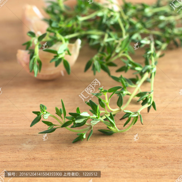 新鮮的百里香和背面的大蒜在木板（很淺的景深；在某些前焦點(diǎn)離開）