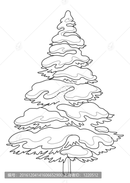 雪毛樹(shù)；輪廓