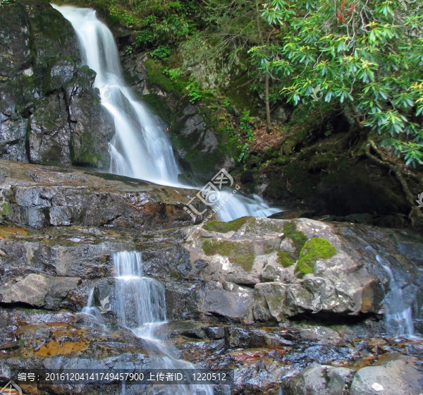 Laurel,Falls瀑布在煙霧山國家公園；USA.