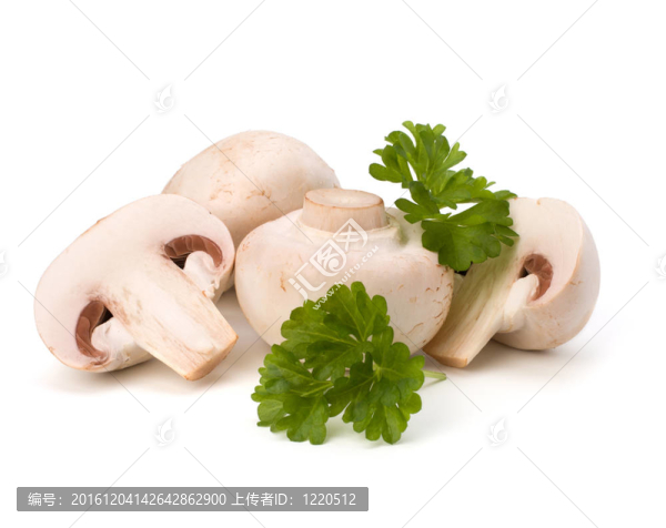 香菇蘑菇