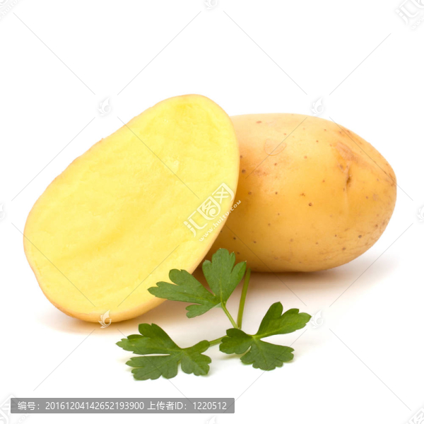 新土豆綠歐芹