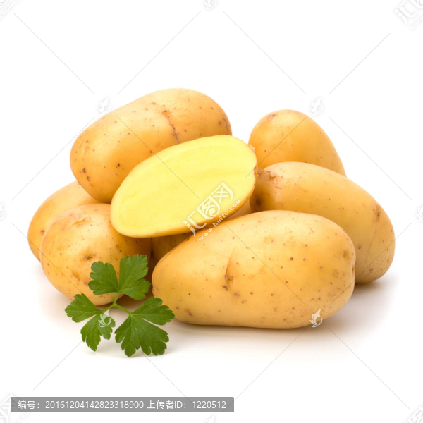 新土豆綠歐芹