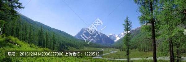 美麗的山