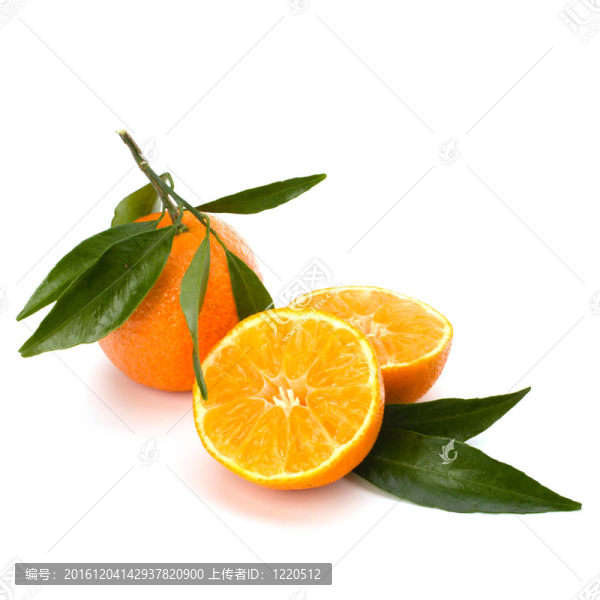 橘子收成時(shí)