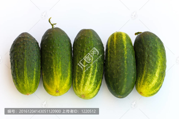 黃瓜