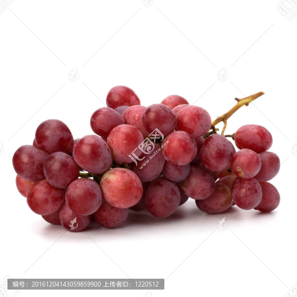 完美一串紅葡萄