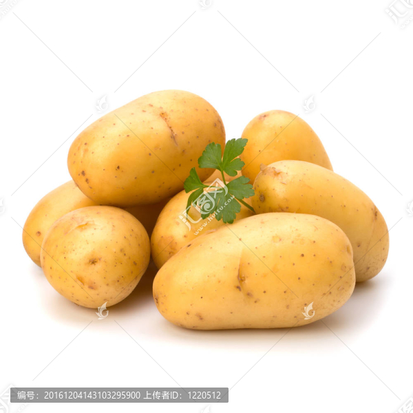 新土豆綠歐芹