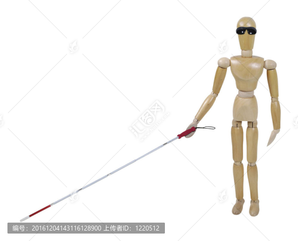 視覺障礙模型
