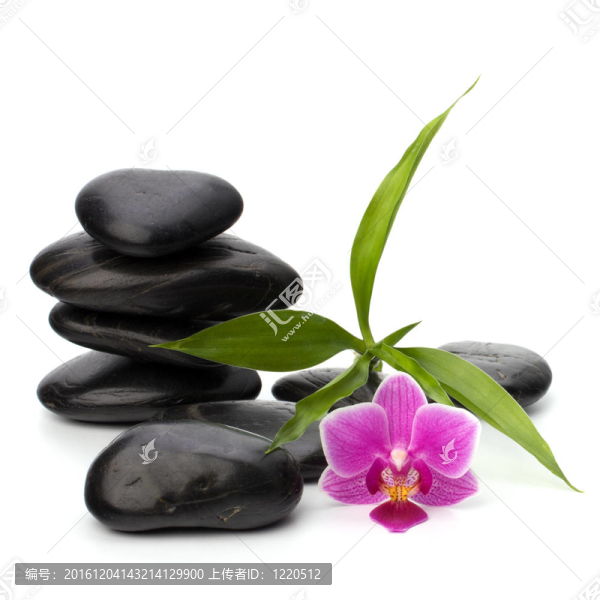 禪意平衡。水療與保健概念。