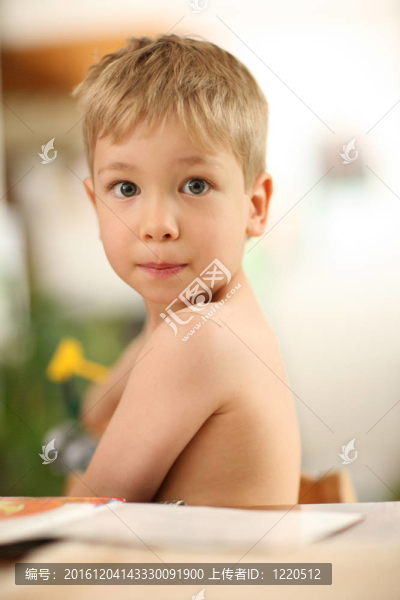 一個小男孩的肖像
