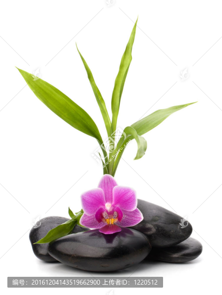 禪意平衡。水療與保健概念。