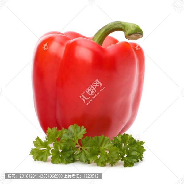 白底紅辣椒