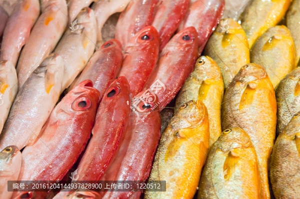鮮魚市場(chǎng)上的鮮魚