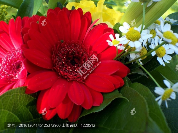 花