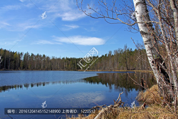 芬蘭寧靜湖風(fēng)景