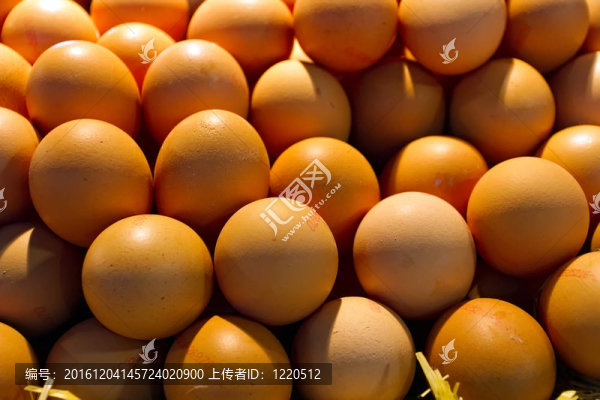 雞蛋
