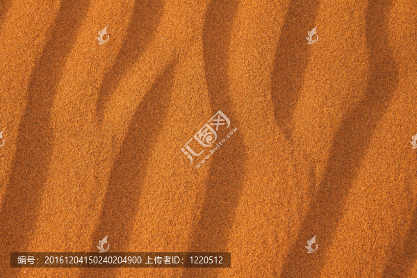 沙的紋理