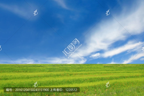 走綠色概念背景