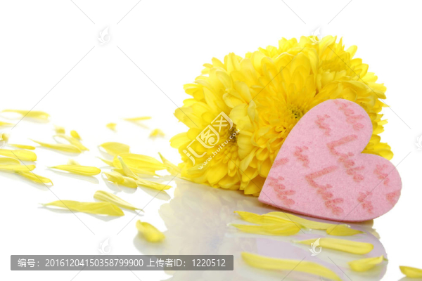 兩紅心Yellow,chrysanthemums