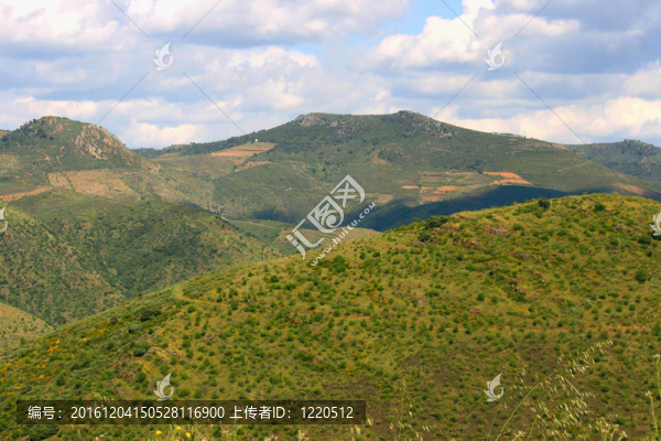 看山