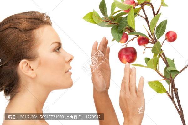 可愛的女人與蘋果枝